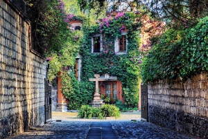 Mexiko-Stadt: Basar-Samstag, Kloster von Carmen & San Angel