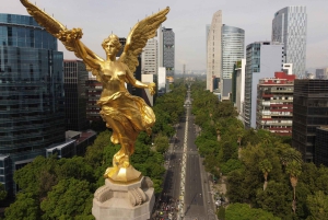 Ciudad de México: tour desde el parque de Chapultepec hasta el Paseo de la Reforma