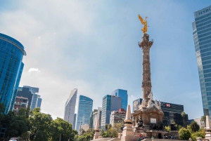 Ciudad de México: tour desde el parque de Chapultepec hasta el Paseo de la Reforma