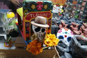 Mexico City: Day of the Dead Tour in Mixquic and Tlahuac