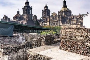 Mexico City: Downtown Walking Tour (CH, JP, ENG or SPA/ESP)