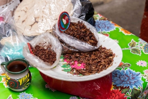 Mexico : Visite gastronomique exotique et marchés