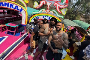 Ciudad de México: tour en barco con guía experto, almuerzo y bebidas