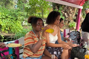 Ciudad de México: tour en barco con guía experto, almuerzo y bebidas