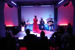 Mexico City: Flamenco Tablao Live Show og middag