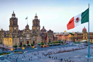 Mexico City: Guidad hel- eller halvdagstur