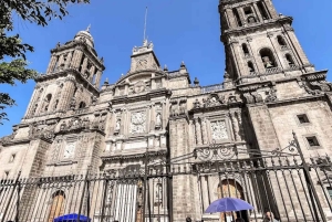 Mexico City: Guidad hel- eller halvdagstur