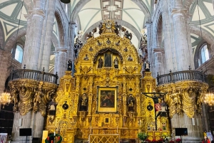 Mexico City: Guidad hel- eller halvdagstur