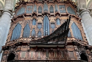 Mexico City: Guidad hel- eller halvdagstur