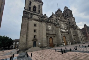 Mexico City: Guidad hel- eller halvdagstur