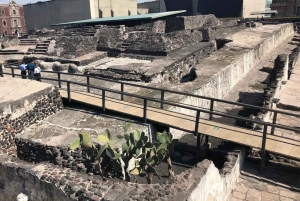 Mexico City: Guidad hel- eller halvdagstur
