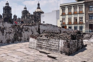 Mexico City: Guidad hel- eller halvdagstur