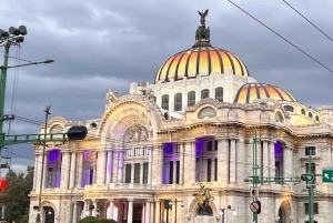 Mexico City: Guidad hel- eller halvdagstur