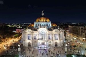 Mexico City: Guidad hel- eller halvdagstur