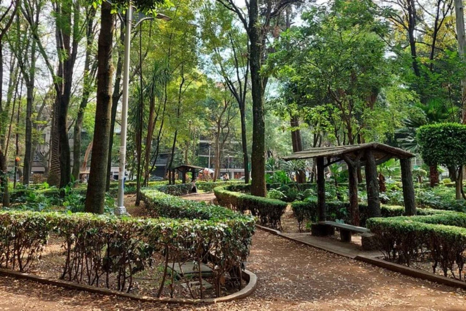 Ciudad de México: tour guiado en bici por la cultura y los sabores locales