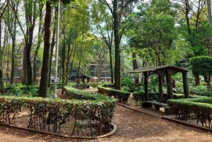 Ciudad de México: tour guiado en bici por la cultura y los sabores locales