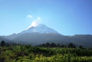 Mexico City: Guided Volcano Trek with Lunch