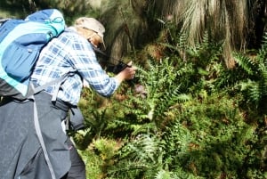 Mexico City: Guided Volcano Trek with Lunch
