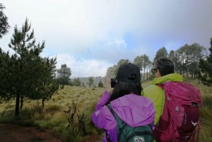 Mexico City: Guided Volcano Trek with Lunch