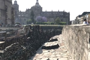 Mexiko-Stadt: Historic Center VIP Tour mit Templo Mayor ...