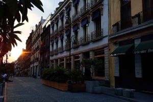 Mexico City: Historisk center byvandring privat