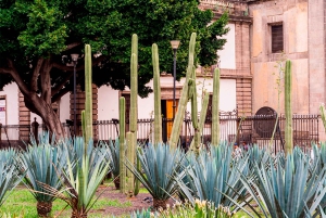 Mexico City: Historic Downtown Walking Tour