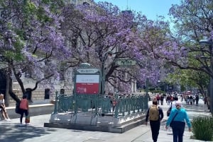 México City: History, and modern life in the capital