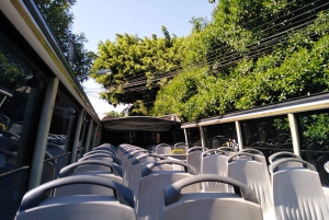 Mexico City: Hop-On Hop-Off Bus City Tour