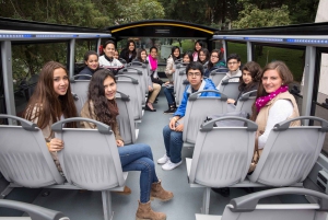 Mexico City: Hop-On Hop-Off Bus City Tour