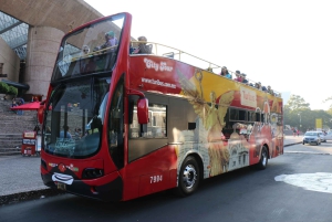 Mexico City: Rundtur med hop-on hop-off-buss