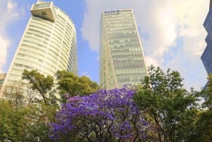 Mexico Stad: Hop-on-hop-off-tour door de stad met Turibus 1 dagtour.