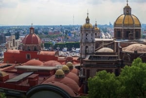 Mexico Stad: Hop-on-hop-off-tour door de stad met Turibus 1 dagtour.