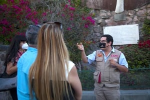 Mexico Stad: Hop-on-hop-off-tour door de stad met Turibus 1 dagtour.