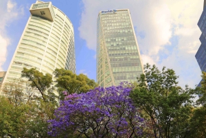 Mexico City: Hop-on Hop-off City Tour by Turibus 2-Day Pass
