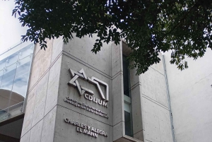 Ciudad de México: tour guiado a pie por el patrimonio judío