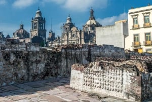 Mexico City: Jewish History Private Guided Walking Tour