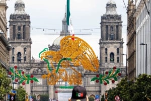 Mexico City: Jewish History Private Guided Walking Tour