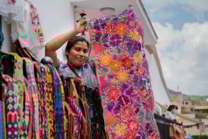 Mexico City: Jewish History Private Guided Walking Tour