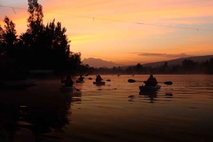 Mexico City: Kayak Experiences in Hidden Xochimilco