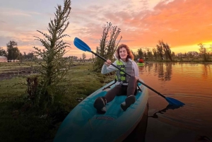 Mexico City: Kayak Experiences in Hidden Xochimilco