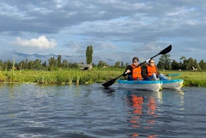 Mexico City: Kayak Experiences in Hidden Xochimilco