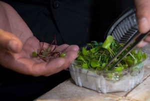 Mexico City: Mexican Cooking Class