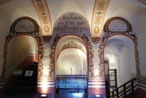 Ciudad de México: Visita al Museo del Carmen con Entrada