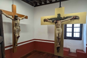 Ciudad de México: Visita al Museo del Carmen con Entrada