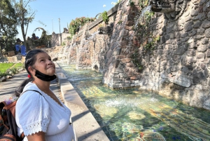 Ciudad de México: tour privado de arte y cultura