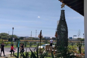 Mexico City: Private Cheese and Wine Tour to Queretaro