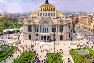 Mexico Citys majestätiska sevärdheter: Halvdagsutflykt med privat guide