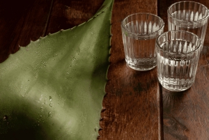 Mexico City: Tacos & Mezcal Tour