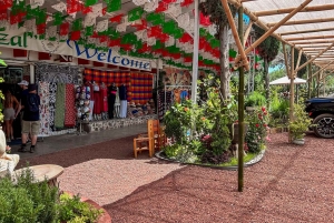 Mexico City: Teotihuacan & Guadalupe Shrine Tour with Lunch