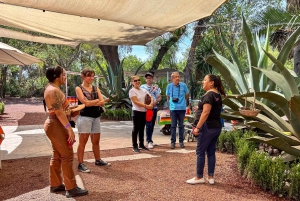 Mexiko City: Teotihuacan, Tlatelolco och Guadalupe-basilikan